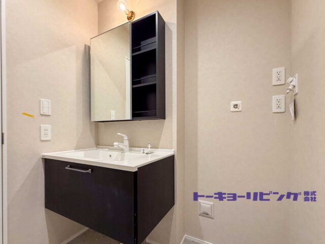 鏡と収納を組み合わせた洗面化粧台。洗面台横には洗濯機を置くスペースがあります。
